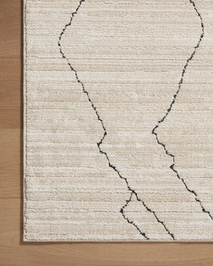 Loloi II Darby DAR-03 Area Rug