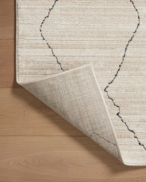 Loloi II Darby DAR-03 Area Rug