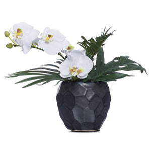 Small White Silk Phalaenopsis in Faceted Black Pot