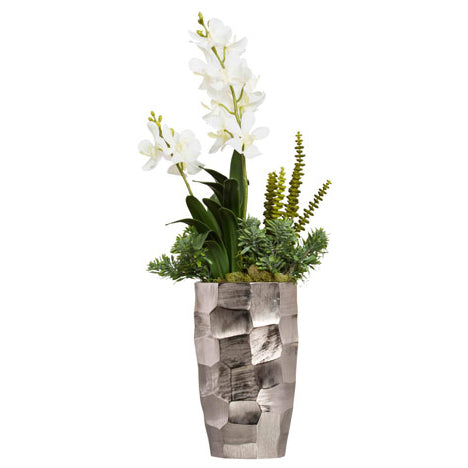 White Silk Vanda Orchid in Modern Silver Vase