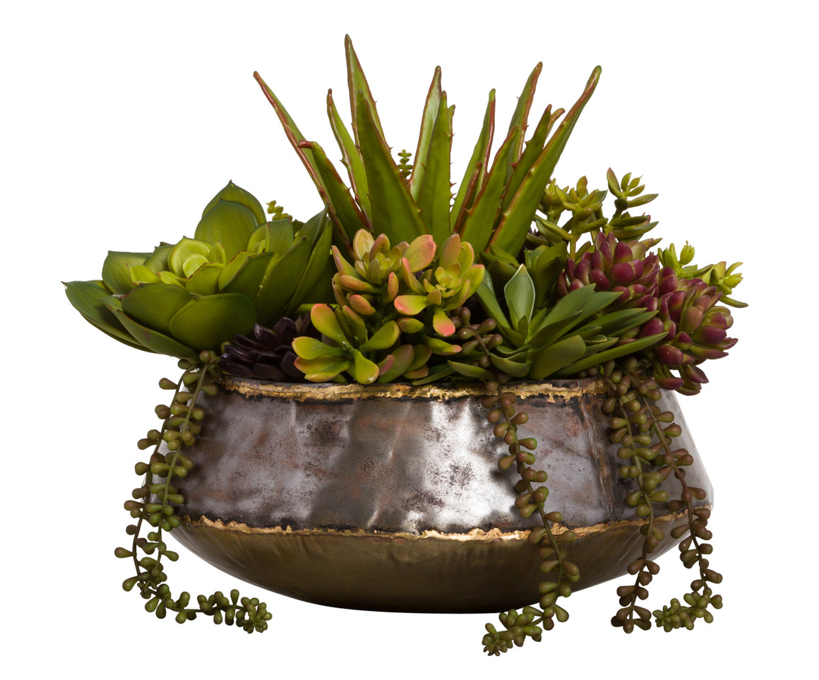 Faux Succulents Arrangement in Small Bengal Bowl