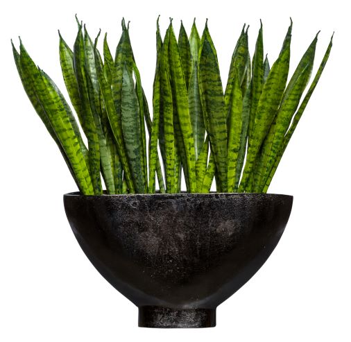 Faux Tall Snake Plant