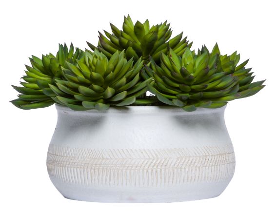 Faux Potted Succulents Plant