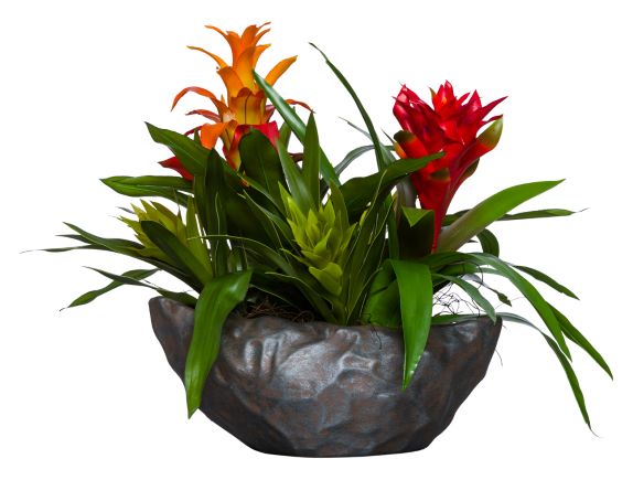 Large Silk Bromeliad Arrangement in Distressed Oval Container