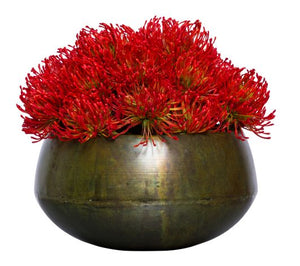 Silk Red Pin Cushion Protea Arrangement