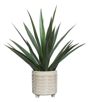Faux Yucca Plant - White Textured Footed Pot