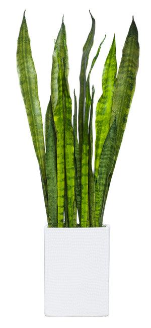 Faux Sanseveria Plant - White Rectangular Planter