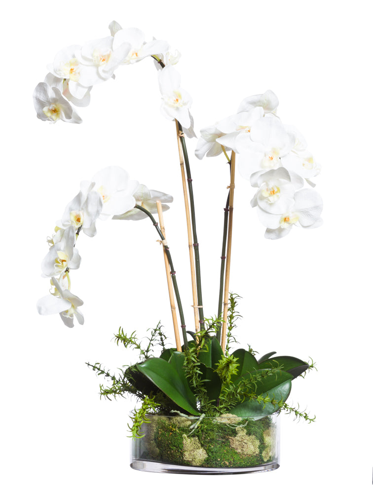 White Silk Orchid - Clear Glass Bowl