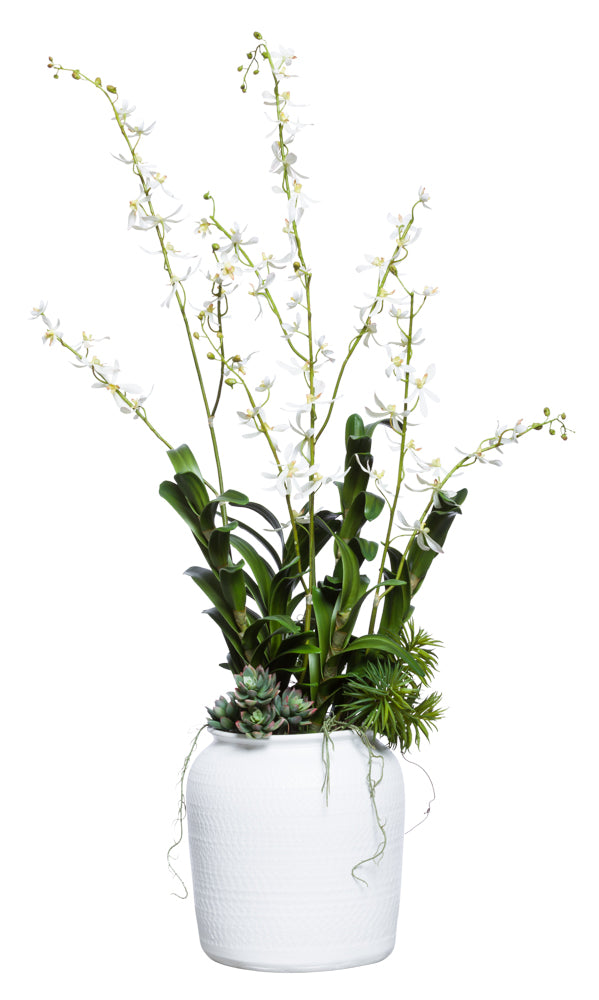 Faux White Vanda/Succulent - Textured White Pot