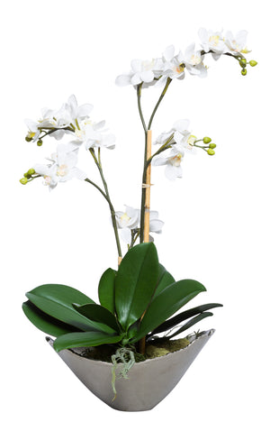 Silk Mini White Orchid - Silver Bowl