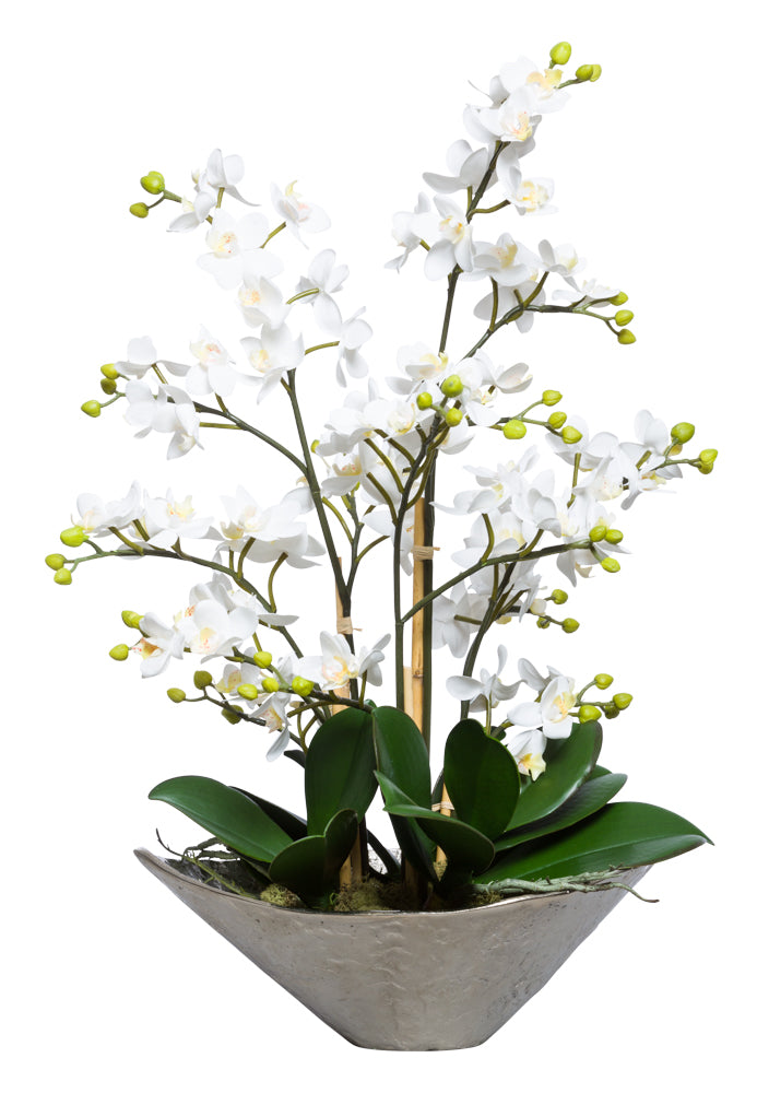 Mini White Silk Orchid - Silver Textured Bowl