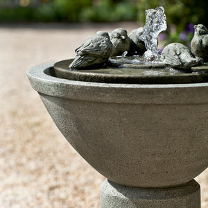 Bird Sculpture Fountain - Alpine Stone Patina