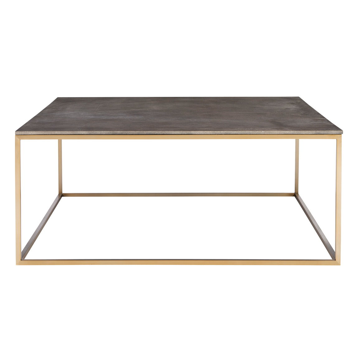 Trebon Modern Coffee Table