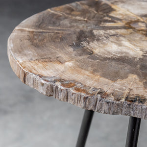 Mircea Petrified Wood Accent Table