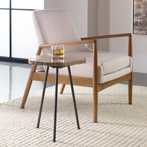 Mircea Petrified Wood Accent Table