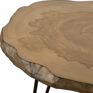 Runay Wood Slab Side Table