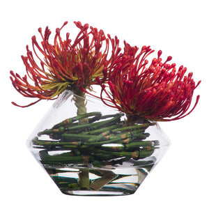 Small Pincushion Waterlike in Angled Glass Bowl