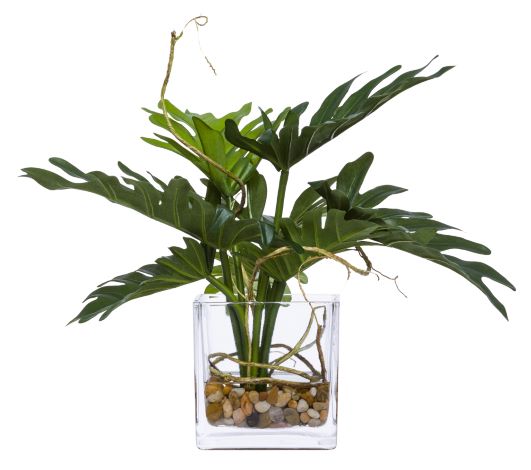 Faux Split Philo Leaves & Selloum Arrangement