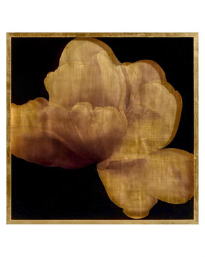 Mark McDowell's Kin Saki