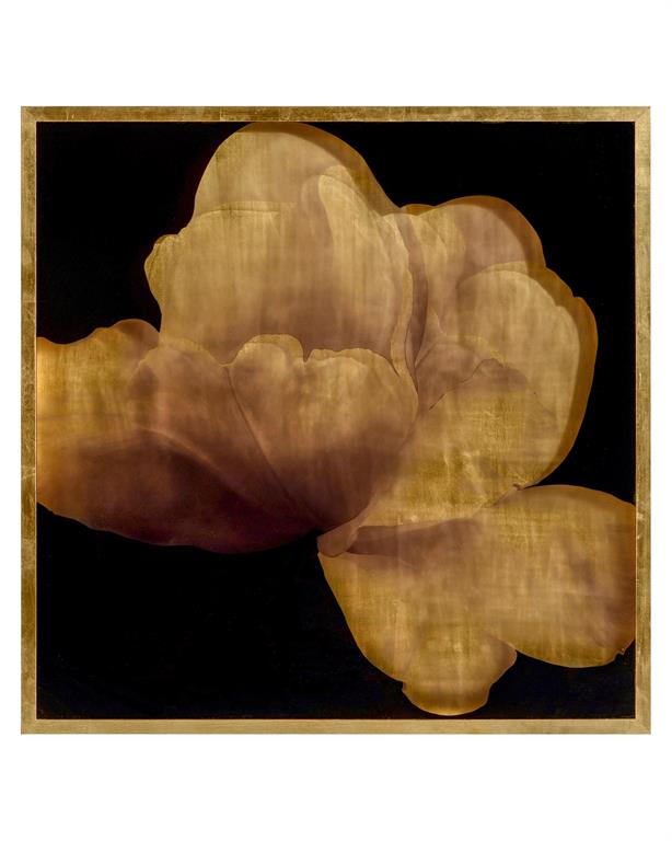 Mark McDowell's Kin Saki