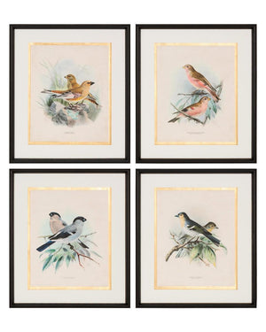Antique Birds IV