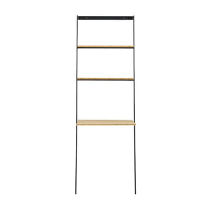 Santa Cruz Leaning Desk