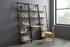 Santa Cruz Leaning Desk