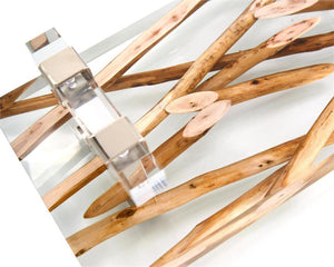 Branches Suspended in Acrylic Tray