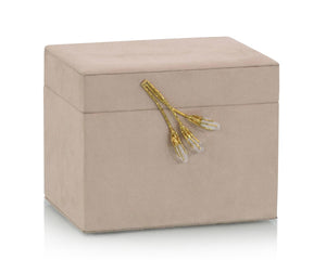 Blush Suede Jewelry Box II