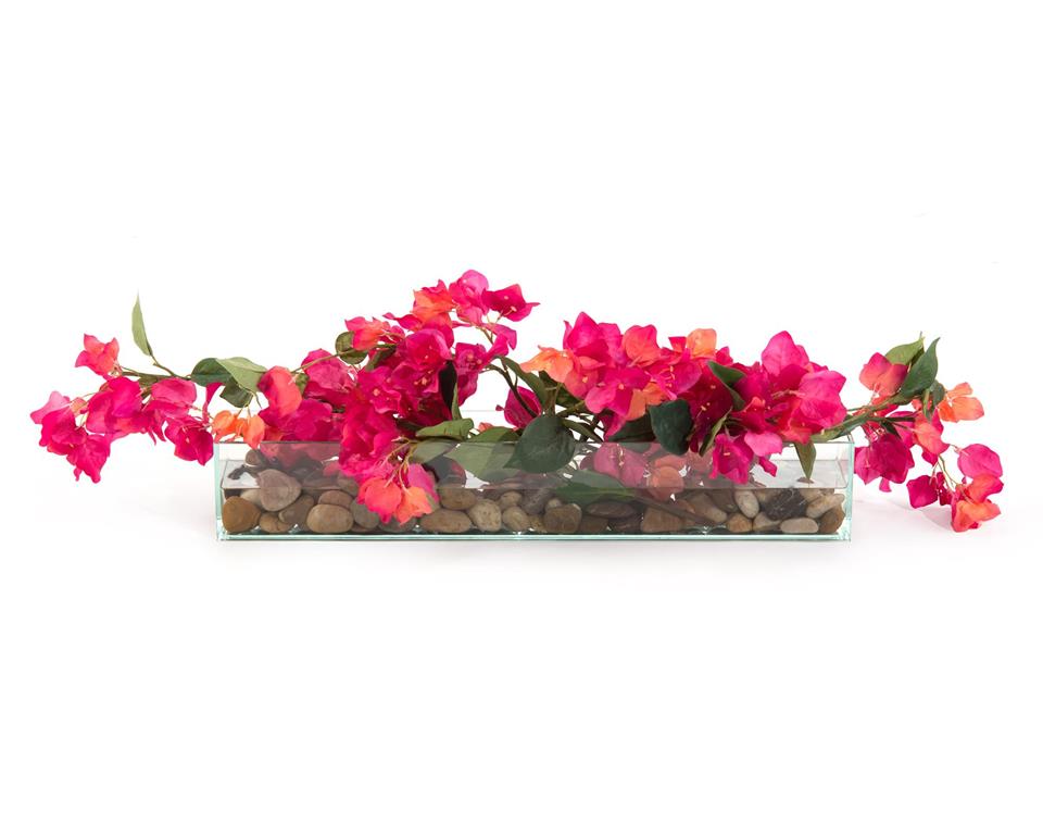 Lush Bougainvillea
