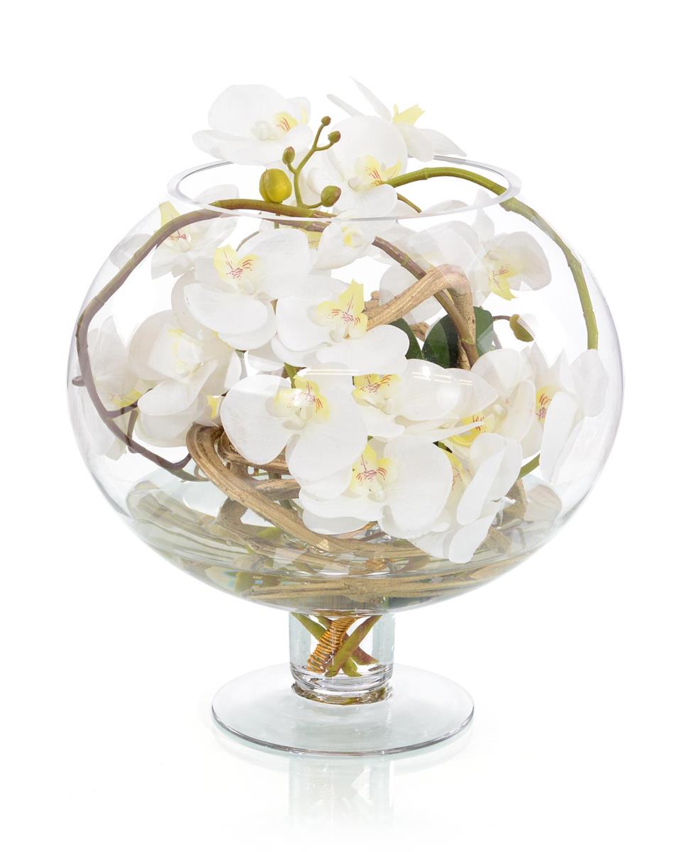 Euphoric Orchids