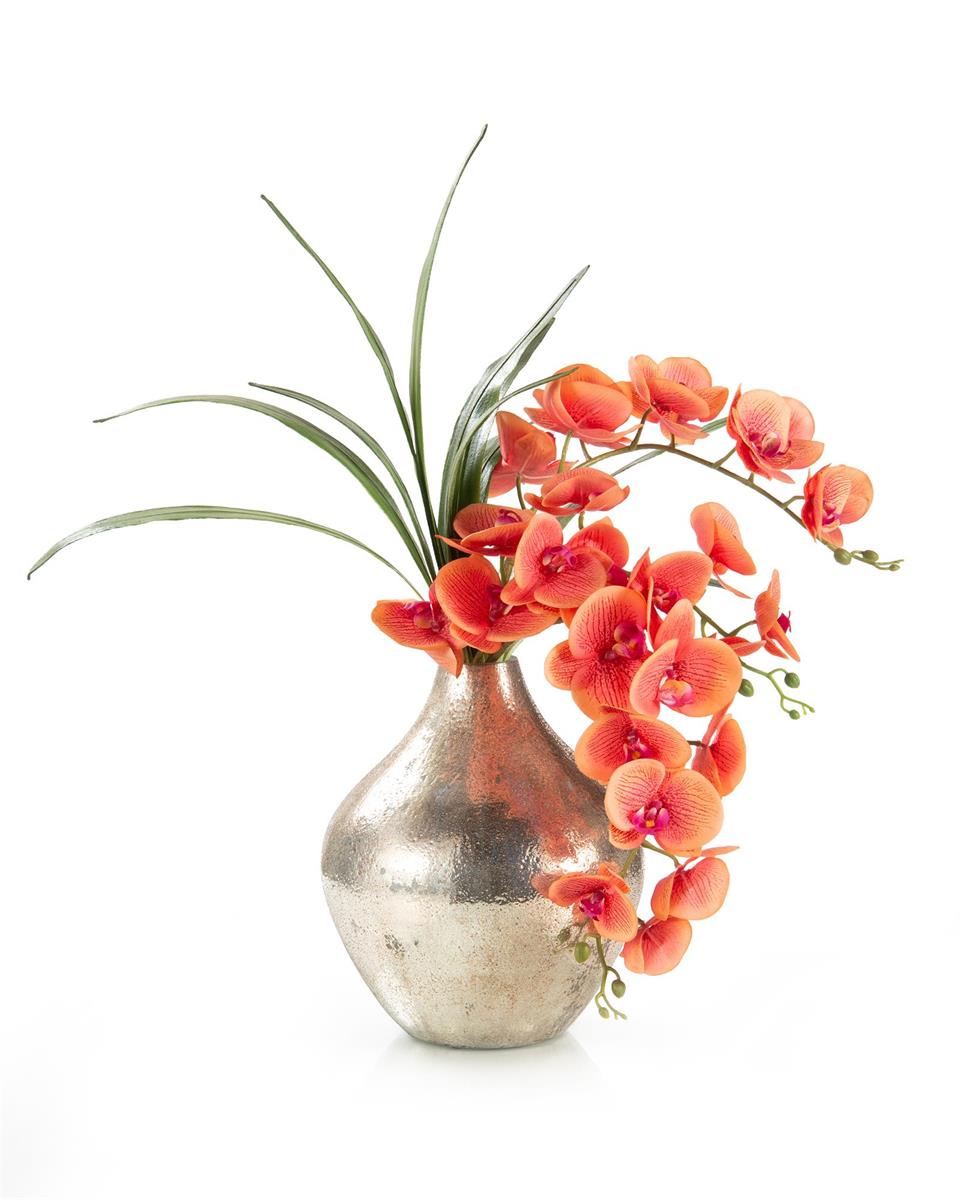 Happy Orchids