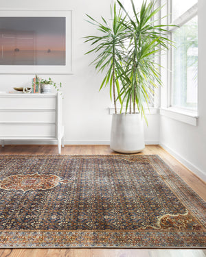 Loloi Layla LAY-09 Area Rug