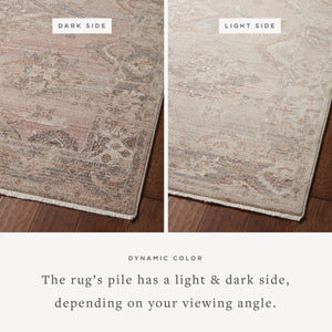 Loloi Lyra LYR-01 Area Rug