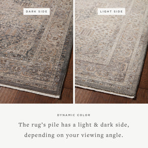 Loloi Lyra LYR-02 Area Rug