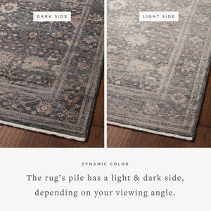 Loloi Lyra LYR-04 Area Rug
