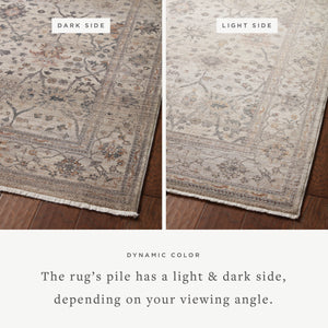 Loloi Lyra LYR-04 Area Rug