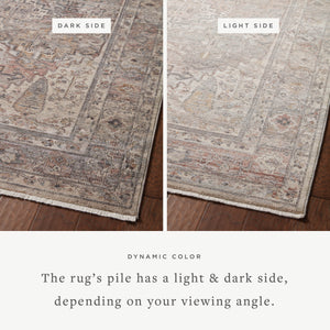 Loloi Lyra LYR-05 Area Rug