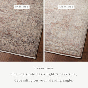 Loloi Lyra LYR-06 Area Rug
