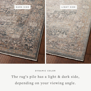 Loloi Lyra LYR-06 Area Rug
