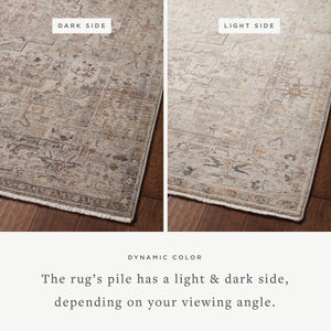 Loloi Lyra LYR-06 Area Rug