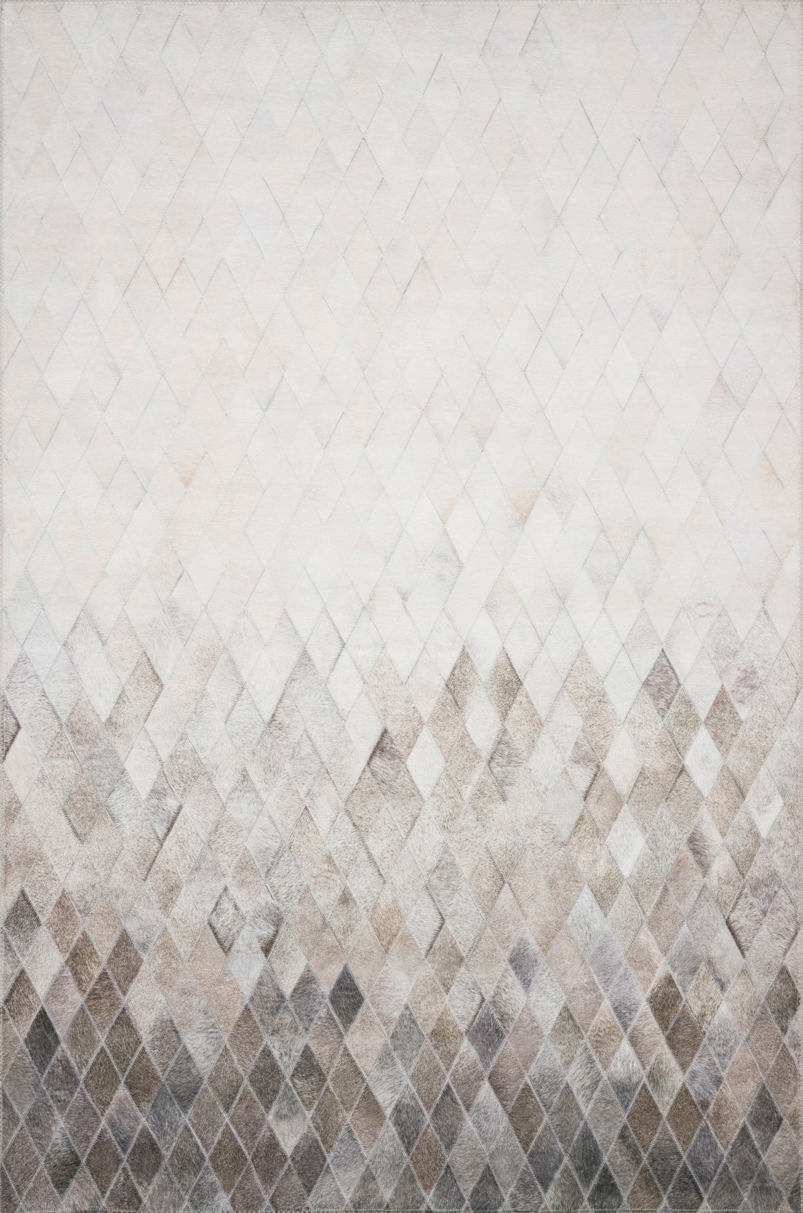 Loloi Maddox MAD-04 Area Rug
