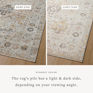 Loloi II Monroe MON-02 Area Rug