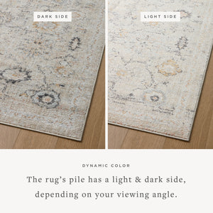 Loloi II Monroe MON-04 Area Rug