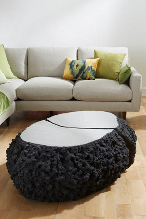 Split the Difference Coffee Table