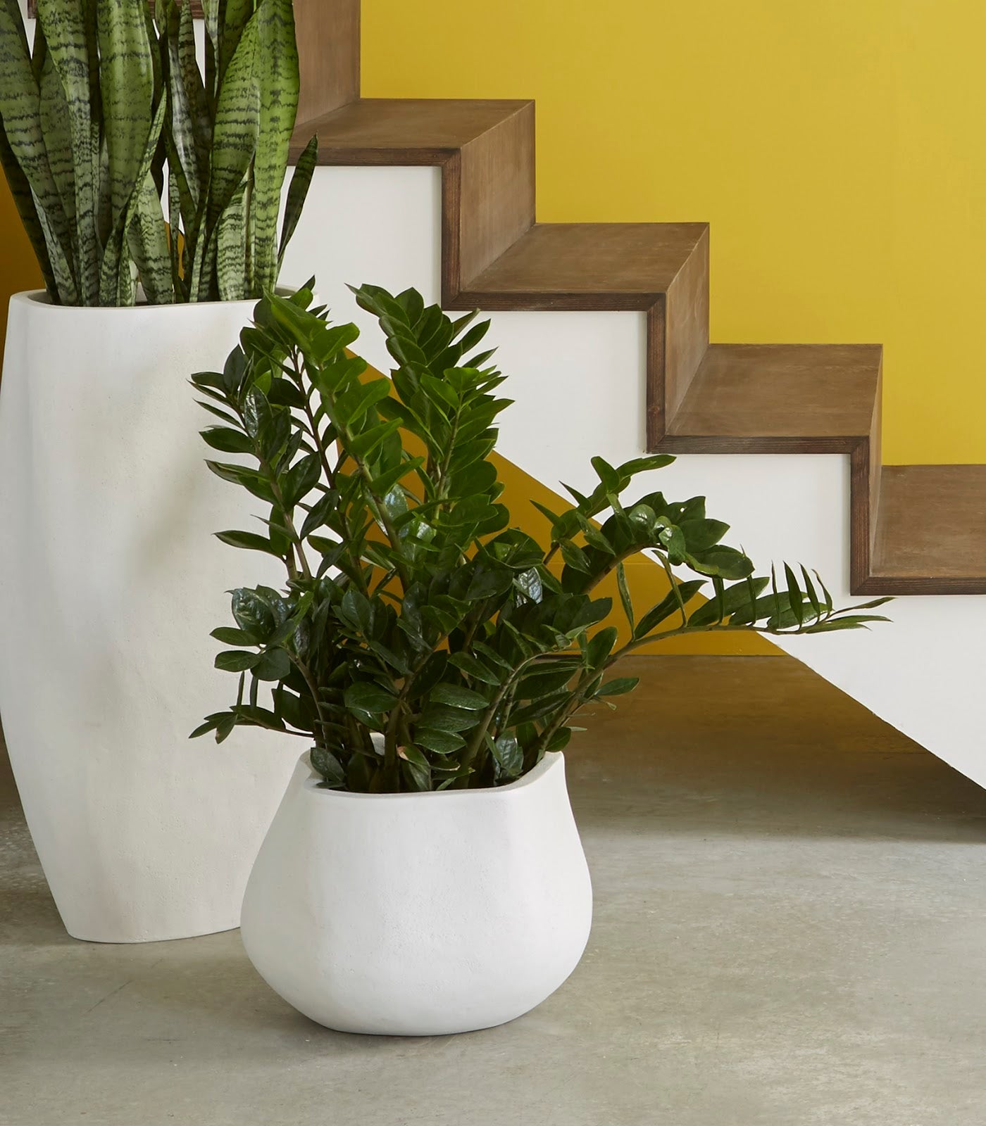 white tall pot plant Claire Planter, Large, White