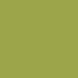 Charleston Lacquer Side Table - Lime Green (Additional Colors Available)