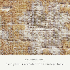 Chris Loves Julia x Loloi Rosemarie ROE-01 Area Rug
