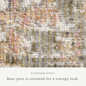 Chris Loves Julia x Loloi Rosemarie ROE-01 Area Rug