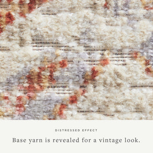 Chris Loves Julia x Loloi Rosemarie ROE-05 Area Rug